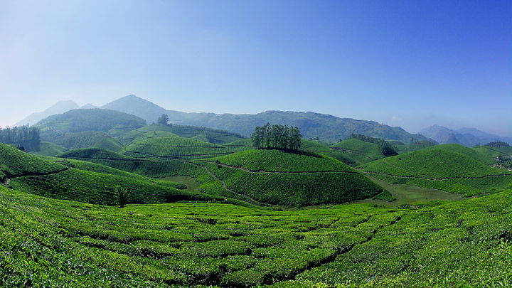 Munnar- Kumarakom-Kovalam Tour Package